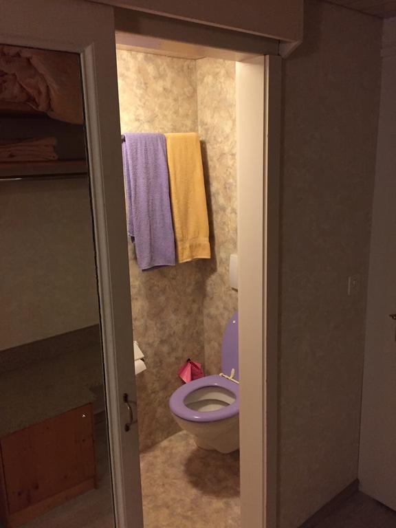 Roessli Apartment 알프나슈타드 외부 사진